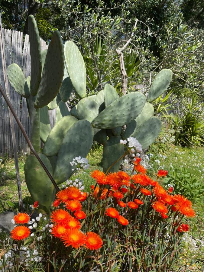 Villa Paolo Lemon Tree Porto Venere Zewnętrze zdjęcie